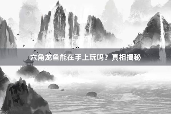 六角龙鱼能在手上玩吗？真相揭秘